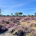 Kindvriendelijk Alpina Op De Veluwe Vakantiepark Doornspijk