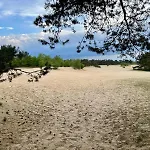 Vakantiepark Kindvriendelijk Alpina Op De Veluwe *