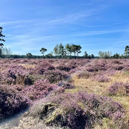 Kindvriendelijk Chalet Alpina Op De Veluwe 假日公园 Doornspijk