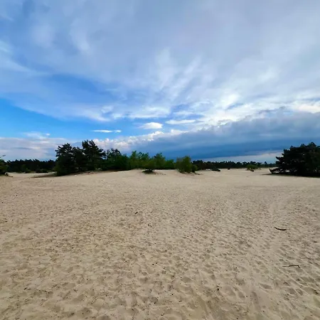 Kindvriendelijk Chalet Alpina Op De Veluwe 假日公园 Doornspijk