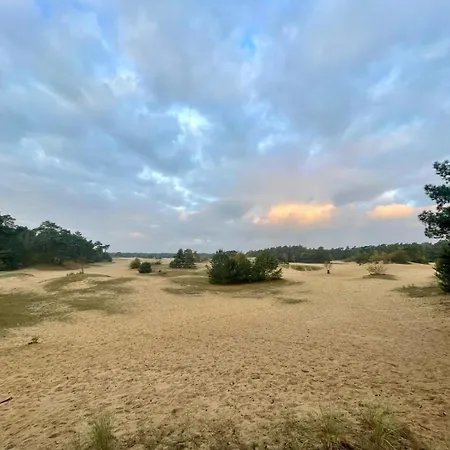 Kindvriendelijk Chalet Alpina Op De Veluwe * Doornspijk