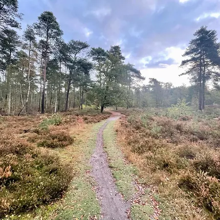 Kindvriendelijk Alpina Op De Veluwe Feriepark *