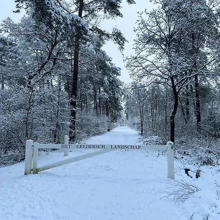 Vakantiepark Kindvriendelijk Alpina Op De Veluwe Doornspijk