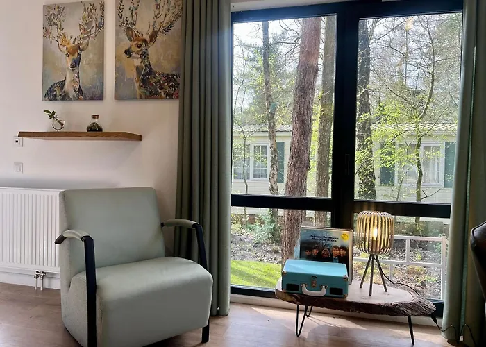 假日公园 Kindvriendelijk Chalet Alpina Op De Veluwe Doornspijk