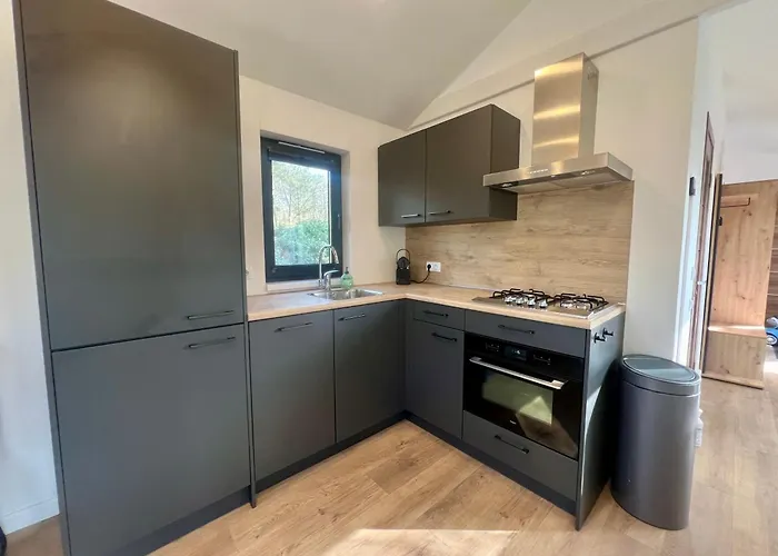 Kindvriendelijk Chalet Alpina Op De Veluwe