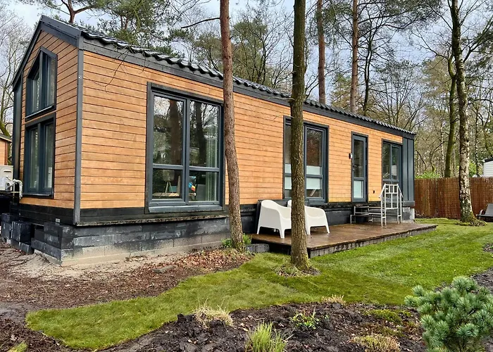 Kindvriendelijk Chalet Alpina Op De Veluwe Doornspijk