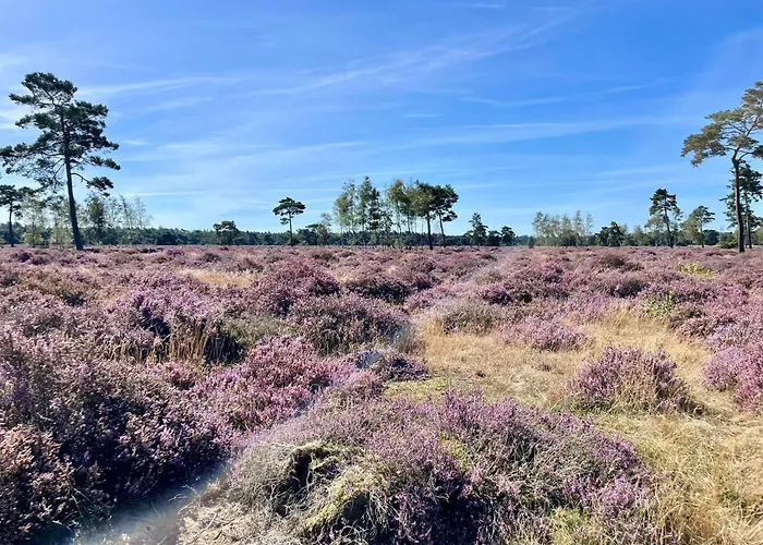 Kindvriendelijk Chalet Alpina Op De Veluwe 假日公园 Doornspijk