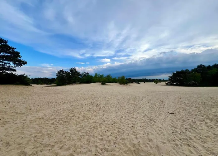 Kindvriendelijk Chalet Alpina Op De Veluwe 假日公园 Doornspijk