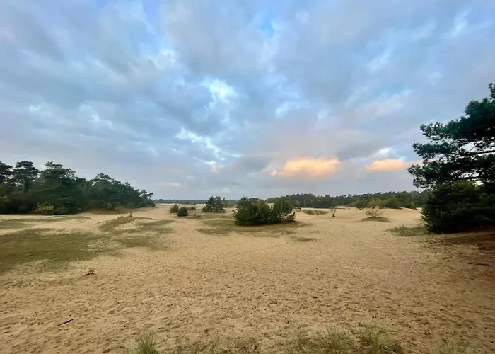 Kindvriendelijk Chalet Alpina Op De Veluwe * Doornspijk