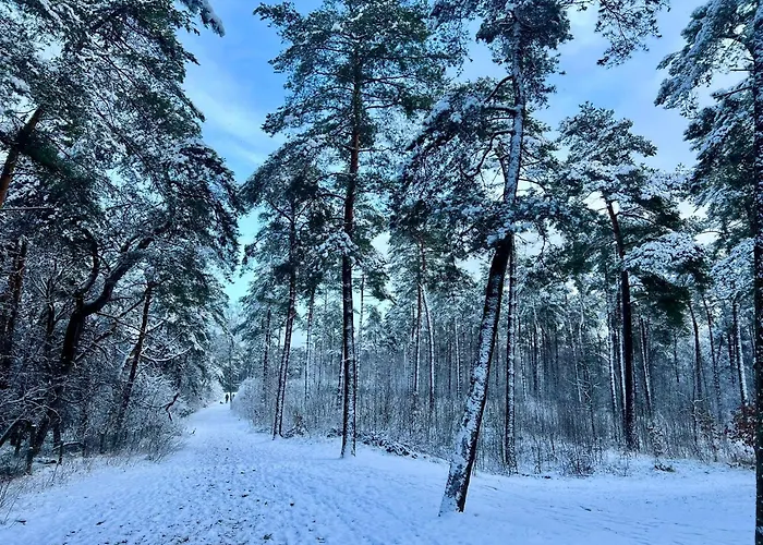 假日公园 Kindvriendelijk Chalet Alpina Op De Veluwe Doornspijk