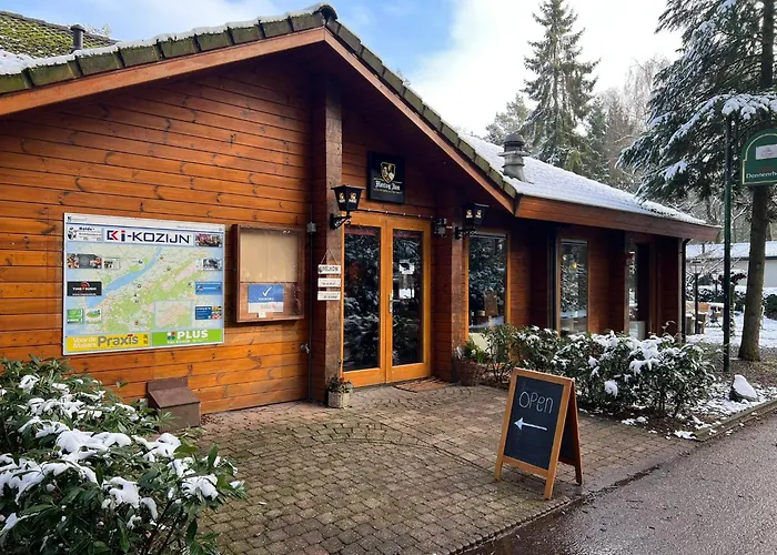 Kindvriendelijk Chalet Alpina Op De Veluwe Doornspijk