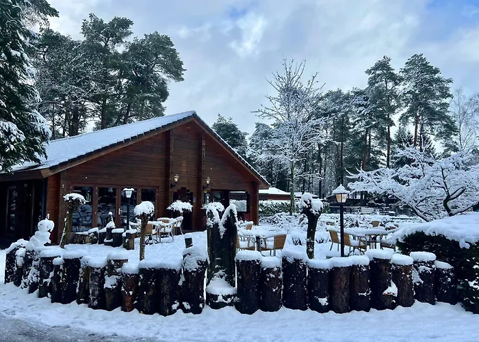 假日公园 Kindvriendelijk Chalet Alpina Op De Veluwe Doornspijk