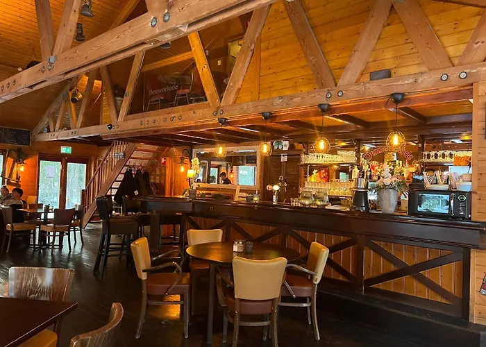 Kindvriendelijk Chalet Alpina Op De Veluwe