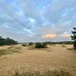 Kindvriendelijk Alpina Op De Veluwe * Doornspijk