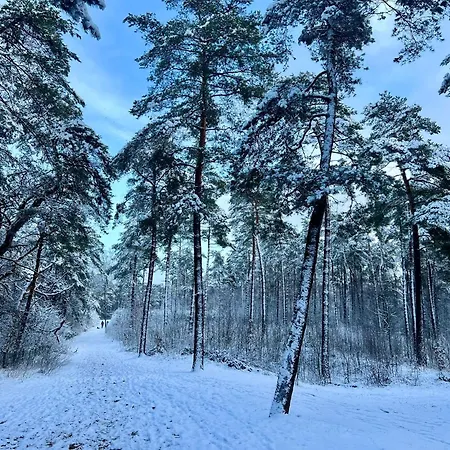 ホリデーパーク Kindvriendelijk Alpina Op De Veluwe Doornspijk