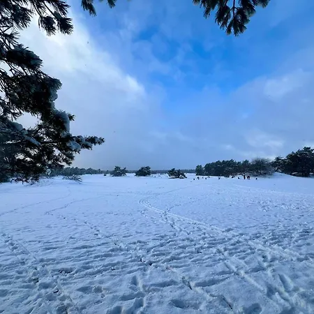 ホリデーパーク Kindvriendelijk Alpina Op De Veluwe