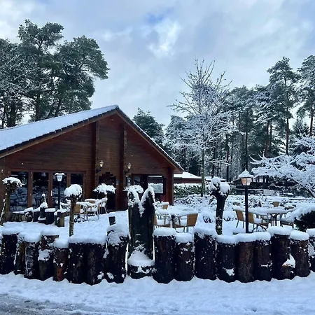 ホリデーパーク Kindvriendelijk Alpina Op De Veluwe Doornspijk